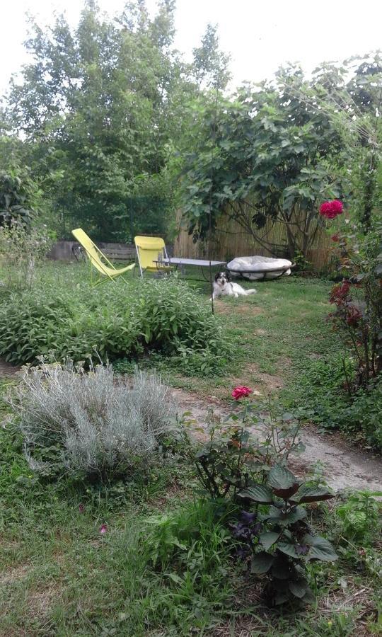 Apartament Le Jardin Du Controleur Valence  Zewnętrze zdjęcie